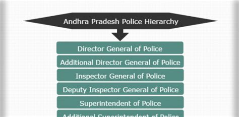 Police Hierarchy Police Ranks And Structures Hierarchystructure Com