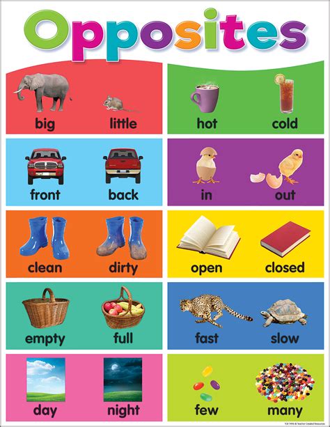 Colorful Opposites Chart Teacher Created Resources Early Learning Preschool Charts