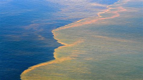 ¿qué Son Esas Zonas Muertas Que Amenazan La Vida En El Golfo De