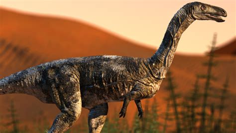 A study published in the journal nature communications suggests that dinosaurs were in decline for as many as 10 million years prior to the chicxulub, mexico asteroid. Descubren nueva especie de dinosaurio carnívoro ...