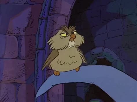 Yarn A Highly Educated Owl The Sword In The Stone Video Clips By