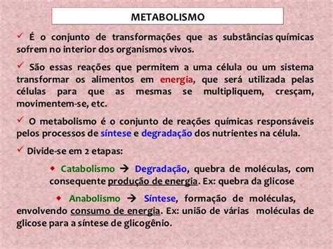 Metabolismo Energético Das Células