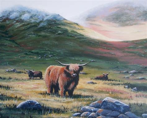 Scottish Highland Cattle Highland Cattle Scottish Highland Cow Work