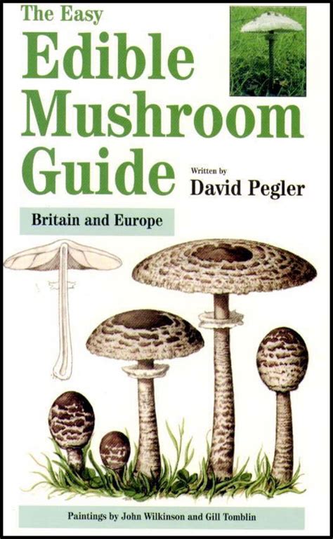 The Easy Edible Mushroom Guide Britain And Europe David