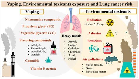 Cancers Free Full Text Vaping Environmental Toxicants Exposure And Lung Cancer Risk