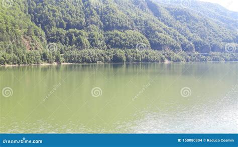 Mountain Lake And Forest Stock Photo Image Of Lake 150080804