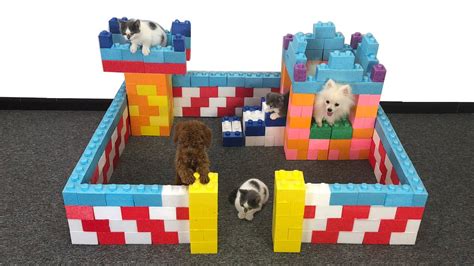 Diy How To Build Dog House For Pomeranian Puppies From Lego Block Toy