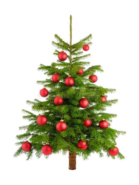 Lush Christmas Tree With Colorful Ornaments Stock Photo Image Of