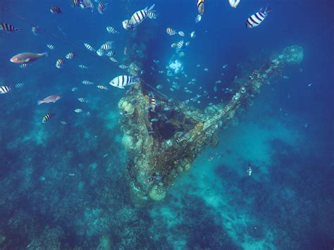 Skeleton Wreck Dive Site In Coron Palawan