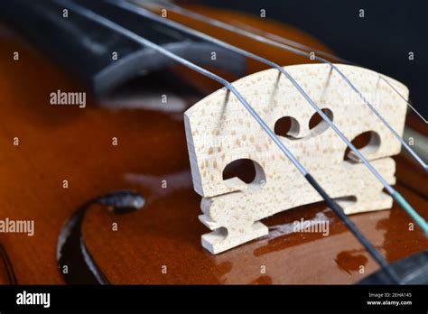 Full Profile Of Beautiful Violin On Black Background Stock Photo Alamy