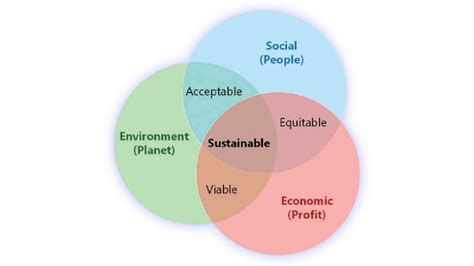 The Importance Of Sustainability For A Business
