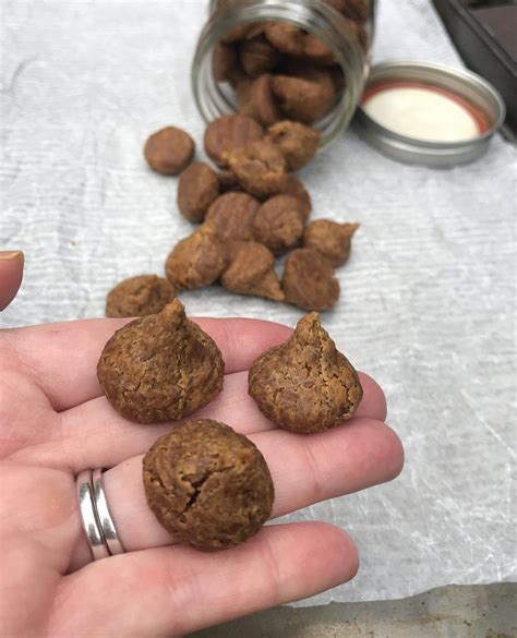 It's good to get into the habit of researching foods before. Pumpkin Spice Puppy Kisses - Dog Treat Recipe | Dog food ...