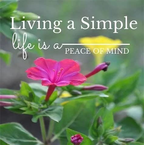 Living A Simple Life Is A State Of Mind