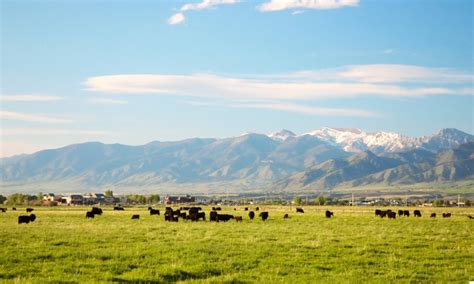 Bozeman Montana And Cody Wyoming Vacations Alltrips