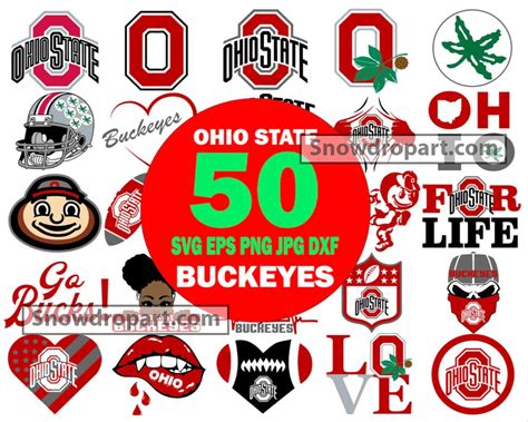 50 Ohio State Buckeyes Svg Bundle Buckeyes Svg Buckeyes Logo Svg
