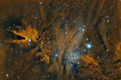 Interstellar Medium Ngc2264 Cone And Fox Fur Nebula