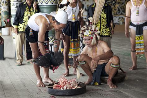 Offering Ceremony Dayak Kalimantan Dayak People The Or Flickr