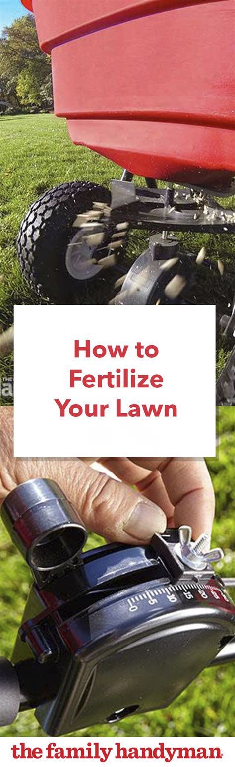 How To Fertilize Your Lawn Lawn Care Lawn Diy Lawn