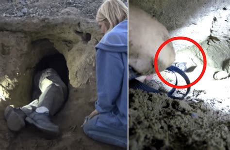 Upbeat News Strange Noises Coming From A Cave In Los Angeles Lead To