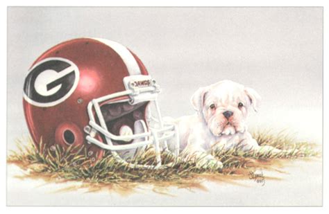 University Of Georgia Bulldog Football Gear Mascot Art Poster