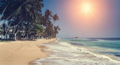 6 Of The Best Beaches In Sri Lanka By Holiday Genie