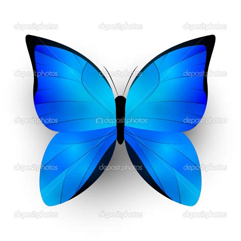 Blue Butterfly — Stock Vector © Huhli13 43421797