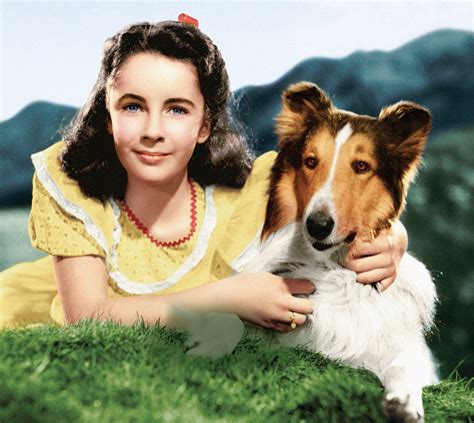 Il Meglio Di Lassie La Saga Delleroico Cane In Home Video