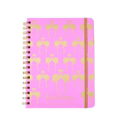 2018 2019 Monthly Planner In Sunset Flamingo Best Of Everything