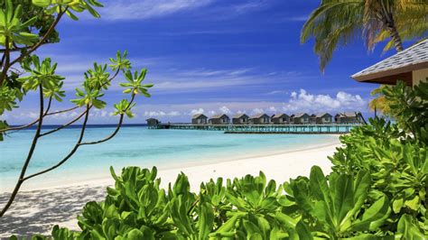 Marchthe Best Time To Visit The Maldives A Month To Revel In The Sun