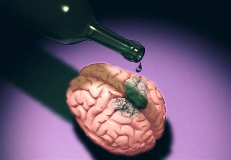 Efectele Alcoolului Asupra Creierului