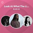 Look At What The Light Did Now Radio | Spotify Playlist