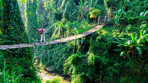Jungle & Rainforest Adventure Tours - Journeys International