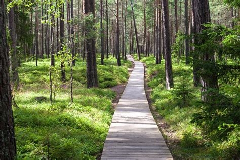 Find out information about lettland. Landschaftspark Tervete, Lettland | Franks Travelbox