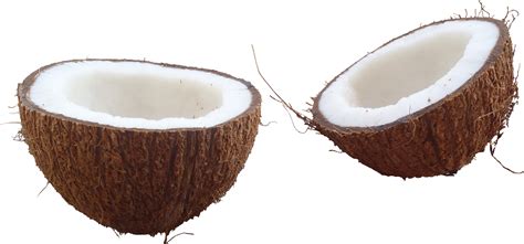 Coconut Png Image Free Download Png Mart