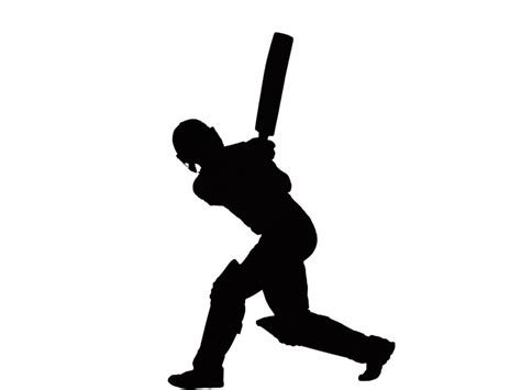 Cricket Png Transparent Image Download Size 1560x1170px