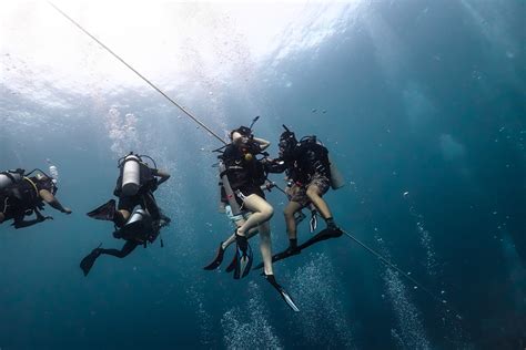 Koh Tao Padi Open Water Diving Course Learn To Dive In Thailand From ฿11 Awe365