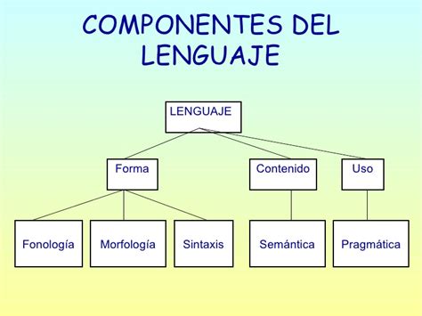 Los Componentes Del Lenguaje Componentes Del Lenguaje