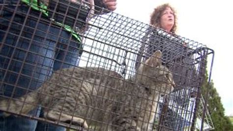 Barron County Humane Society Rescues Animals Near Chetek After Deadly