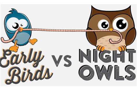 “early Bird Là Gì “night Owl” Là Gì Những Người Chỉ Làm Việc được