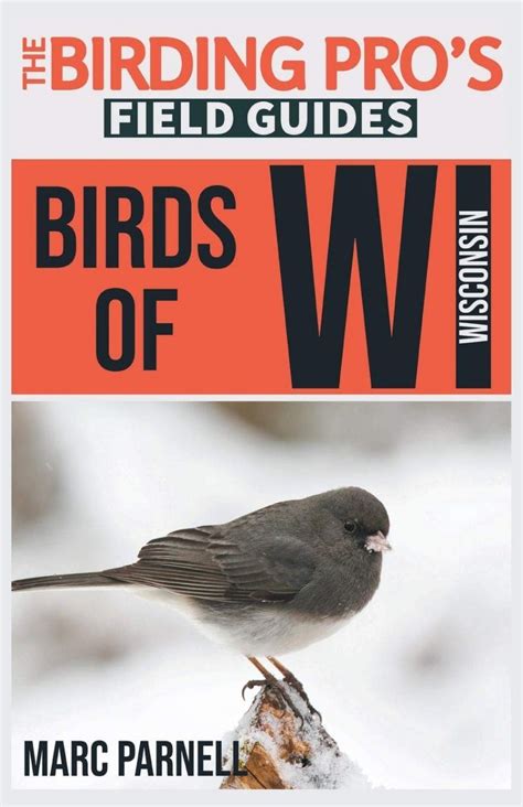 Birds Of Wisconsin Nhbs Field Guides And Natural History