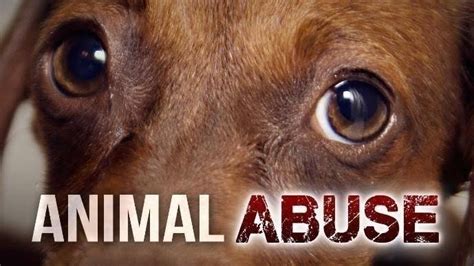 Petition · Stop Animal Abuse ·