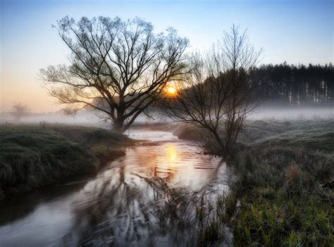 spring morning. a picturesque river. foggy dawn - Man in the Mirror