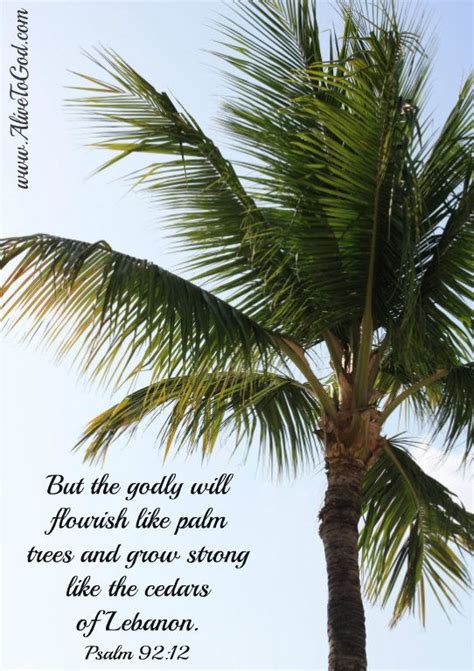 The Palm Tree Is One Of The Most Beautiful Trees It Is Associated With