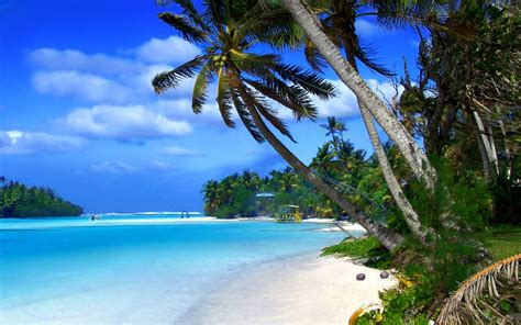 Beach Of Cayman Islands Tropical Landscape Ocean Blue