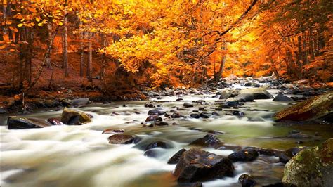 Peaceful Autumn Scene Wallpapers Wallpaper Cave