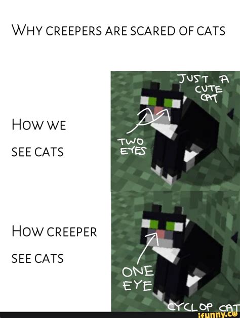 Why Creepers Are Scared Of Cats How We See Cats How Creeper See Cats Ifunny