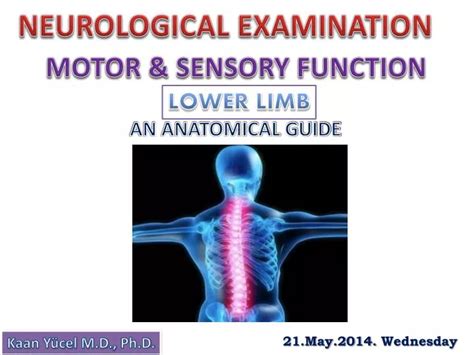 Ppt Neurological Examination Powerpoint Presentation Free Download