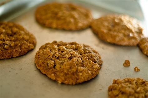 These cookies which provide 2 grams of dietary fiber each aren't terribly. High Fiber Oatmeal Cookies | Logically Crazy