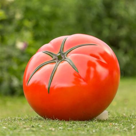 Giant Tomato Catawiki