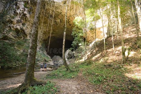 Light From Cave Entrance Of The Mountain Forest Stock